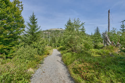 Gemeinde Neuschönau Landkreis Freyung-Grafenau Lusen Weg zur Himmelsleiter Waldhäuser (Dirschl Johann) Deutschland FRG